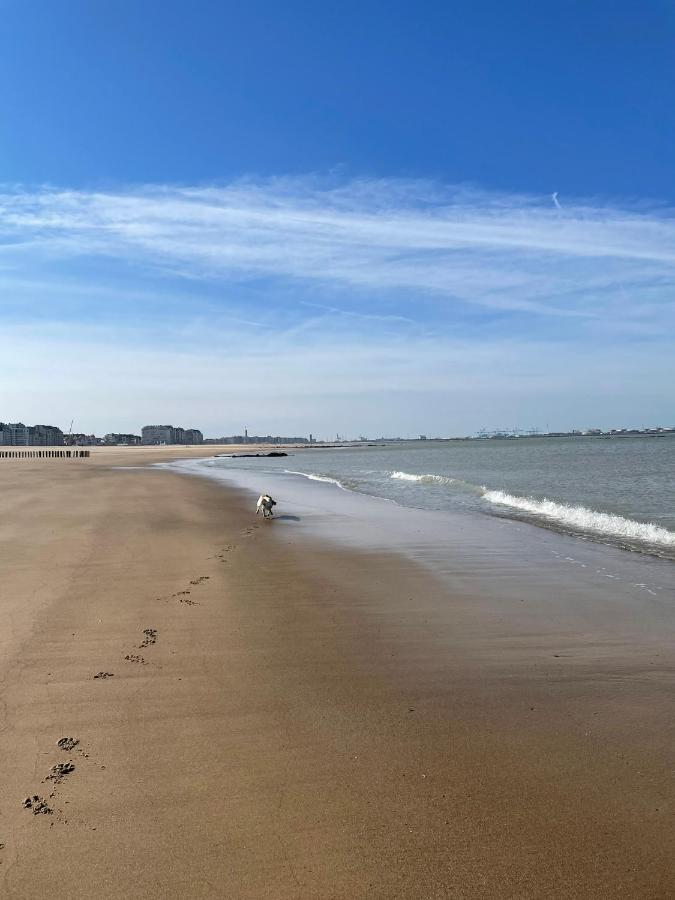 Hotel De Backer Knokke-Heist Exterior foto